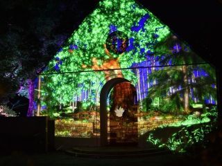 つま恋イルミネーションの写真４