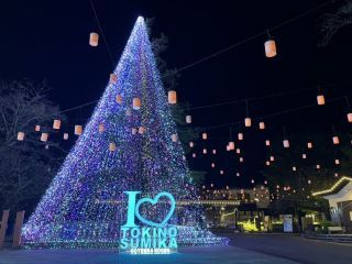 時之栖イルミネーション-2026「ひかりのすみか」写真１