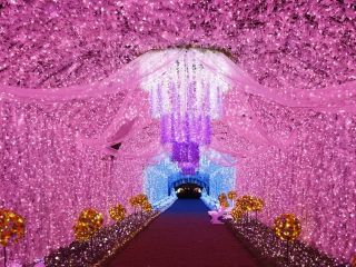 時之栖イルミネーション-2026「ひかりのすみか」の写真３