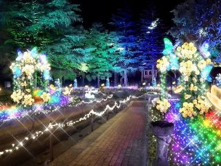 修善寺虹の郷「虹の郷イルミ the ナイト」写真2