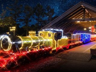 修善寺虹の郷「虹の郷イルミ the ナイト」の写真3