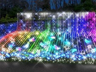 修善寺虹の郷「虹の郷イルミ the ナイト」の写真4
