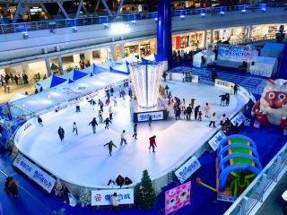 豊田合成リンク写真２