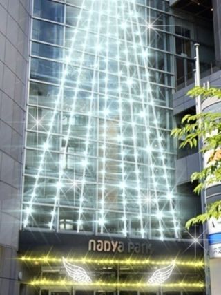 ナディアパークイリミネーションの写真3