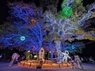 138ウィンターイルミ写真２