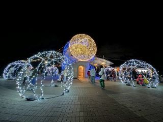 138ウィンターイルミの写真３
