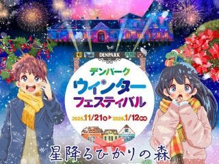 デンパーク 「ウィンターフェスティバル」写真１
