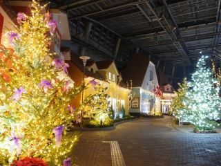 デンパーク 「ウィンターフェスティバル」の写真３