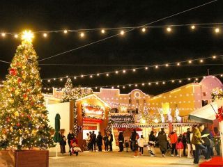 ラグーナ イルミネーション 光と水のカーニバルの写真４