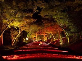 HIEIZAN ENRYAKUJI Exclusive Sutra Offering 比叡山 延暦寺 写経奉納特別ツアー写真1