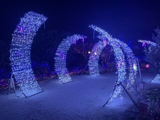 びわ湖大津館イルミネーション「いきものの世界」写真１