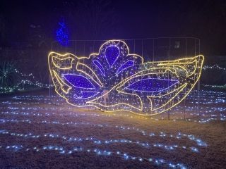 びわ湖大津館イルミネーション「いきものの世界」の写真３