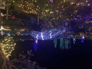 びわ湖大津館イルミネーション「いきものの世界」の写真４