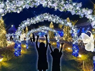 HIKARIUM～蝶と旅するファンタジーガーデン写真２