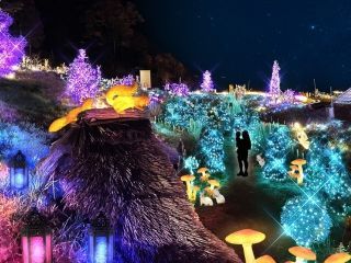 HIKARIUM～蝶と旅するファンタジーガーデンの写真３