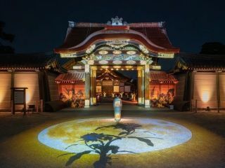 NAKED meets 二条城 観月写真１