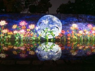 NAKED meets 二条城 観月の写真３