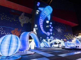 海遊館イルミネーション写真１