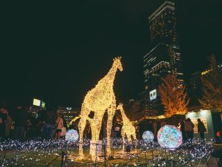 クリスマスマーケットin大阪 てんしば写真２