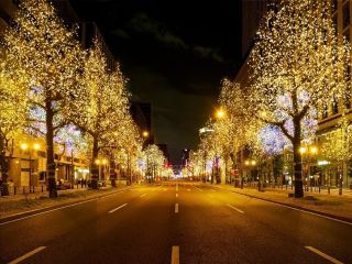 御堂筋イルミネーション写真１