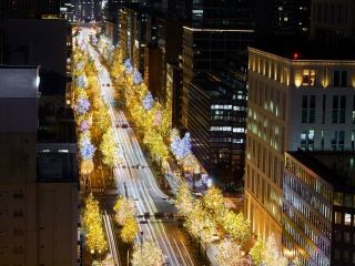 御堂筋イルミネーション写真２