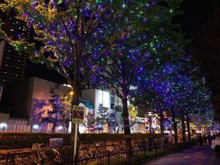 御堂筋イルミネーションの写真３
