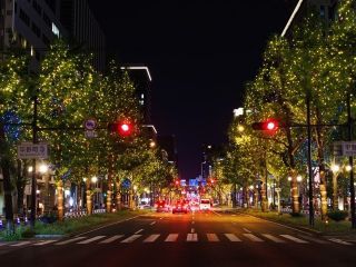 御堂筋イルミネーションの写真４