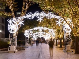 OSAKA光のルネサンスの写真３