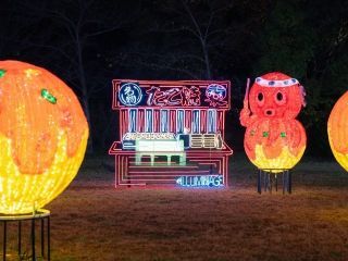 大阪城イルミナージュの写真4