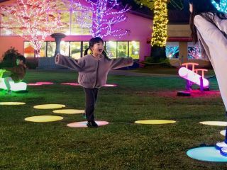 Wonder Night Hill （堺・緑のミュージアム ハーベストの丘）写真２