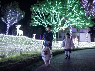 Wonder Night Hill （堺・緑のミュージアム ハーベストの丘）の写真３