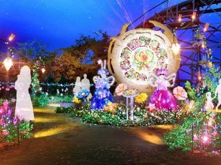 ひらかたパーク 光の遊園地写真２