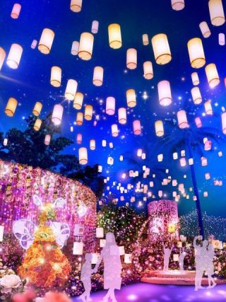 ひらかたパーク 光の遊園地の写真３