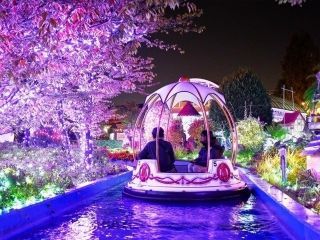 ひらかたパーク 光の遊園地の写真４