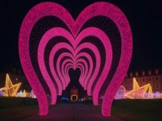 神戸イルミナージュ写真1