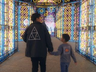 神戸イルミナージュの写真3