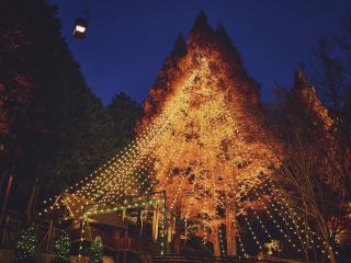 神戸布引ハーブ園 ロープウェイ 「神戸クリスマスマーケット」の写真４