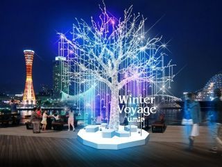 umie クリスマスイルミネーションの写真３