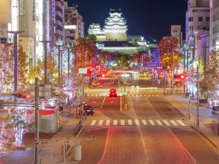 Himeji大手前通りイルミネーション写真2