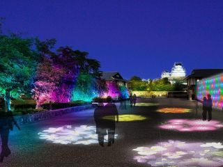 Himeji大手前通りイルミネーションの写真4