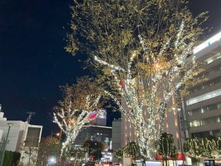 おかやま桃太郎まつり MOMOTAROH FANTASYの写真３