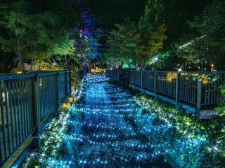 くらしき きらめきのみち イルミネーション写真１