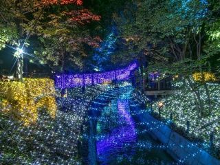 くらしき きらめきのみち イルミネーション写真２