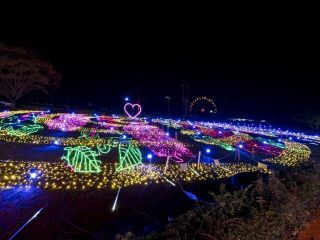 みろくの里 ウィンターイルミネーション キラメキノセカイの写真３