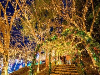 ウインターイルミネーション 備北イルミ写真２