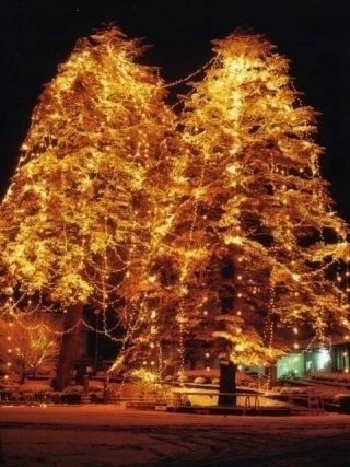 クリスマスナイトフェスティバル