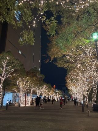 高松シンボルタワーウィンターイルミネーションの写真３