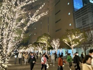 高松シンボルタワーウィンターイルミネーションの写真４