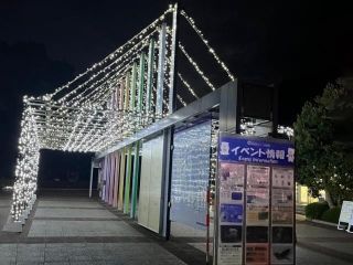 とべZOOイルミネーション写真２