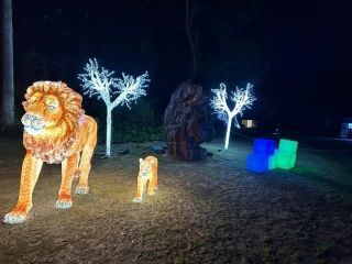 とべZOOイルミネーションの写真３